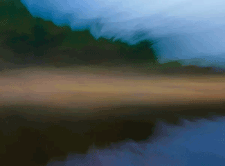 abstract image of nature