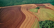 Brazil farmland