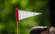 Brown university small triangle flag on a pole with green background