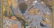 "The Concourse of the Birds," Habiballah of Sava