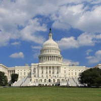 Brown in Washington