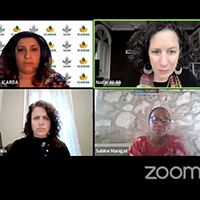 Zoom screenshot