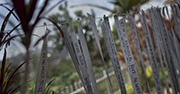 Rwandan genocide memorial