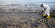 An oil spill washes up on the coast 