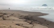 Oil spill on the beach in California 