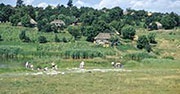 Ukraine countryside