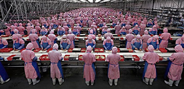 Factory workers in a production line