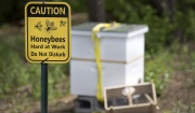 A Caution Sign Reading, "Honeybees at work Do not disturb"